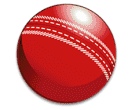 Cricket icon