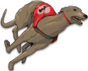 Greyhound Racing icon