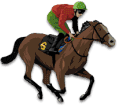 Horse Racing icon