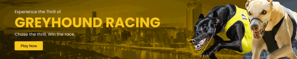 SSExchange Greyhound Racing feature image